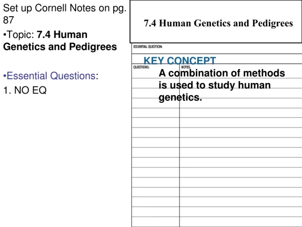 Set up Cornell Notes on pg. 87 Topic: 7.4 Human Genetics and Pedigrees Essential Questions :