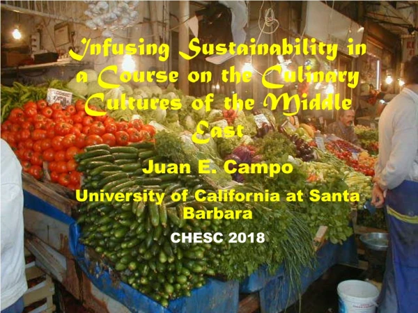 Infusing Sustainability in a Course on the Culinary Cultures of the Middle East Juan E. Campo