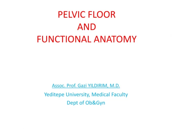 PELVIC FLOOR AND FUNCTIONAL ANATOMY