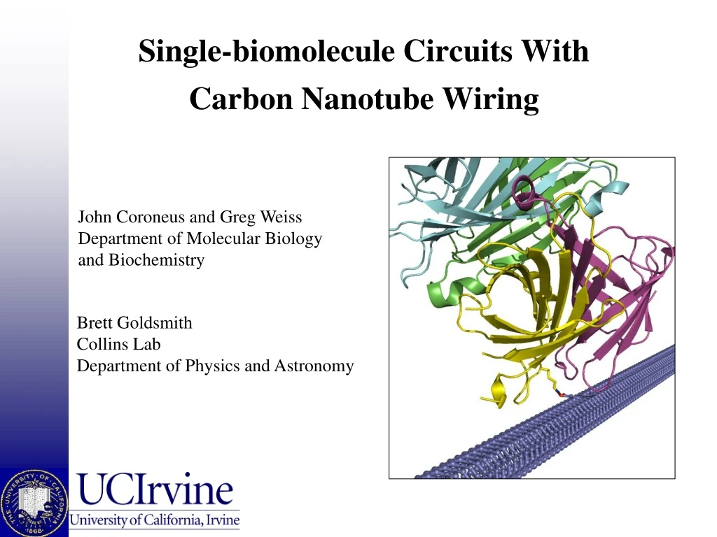 PPT Singlebiomolecule Circuits With Carbon Nanotube Wiring