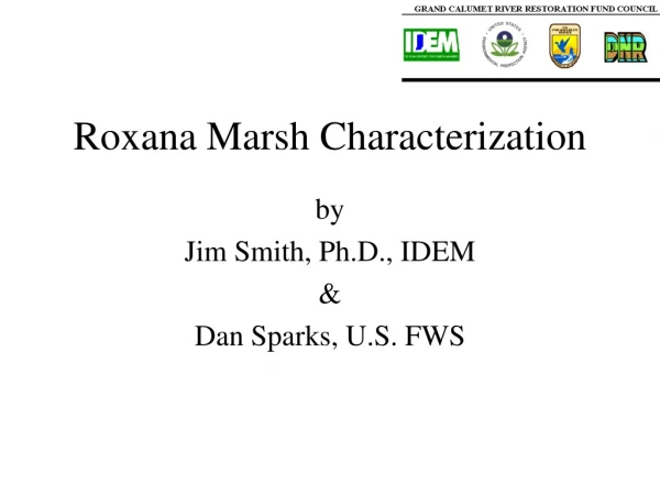 Roxana Marsh Characterization