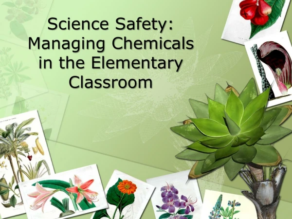 Science Safety: Managing Chemicals in the Elementary Classroom