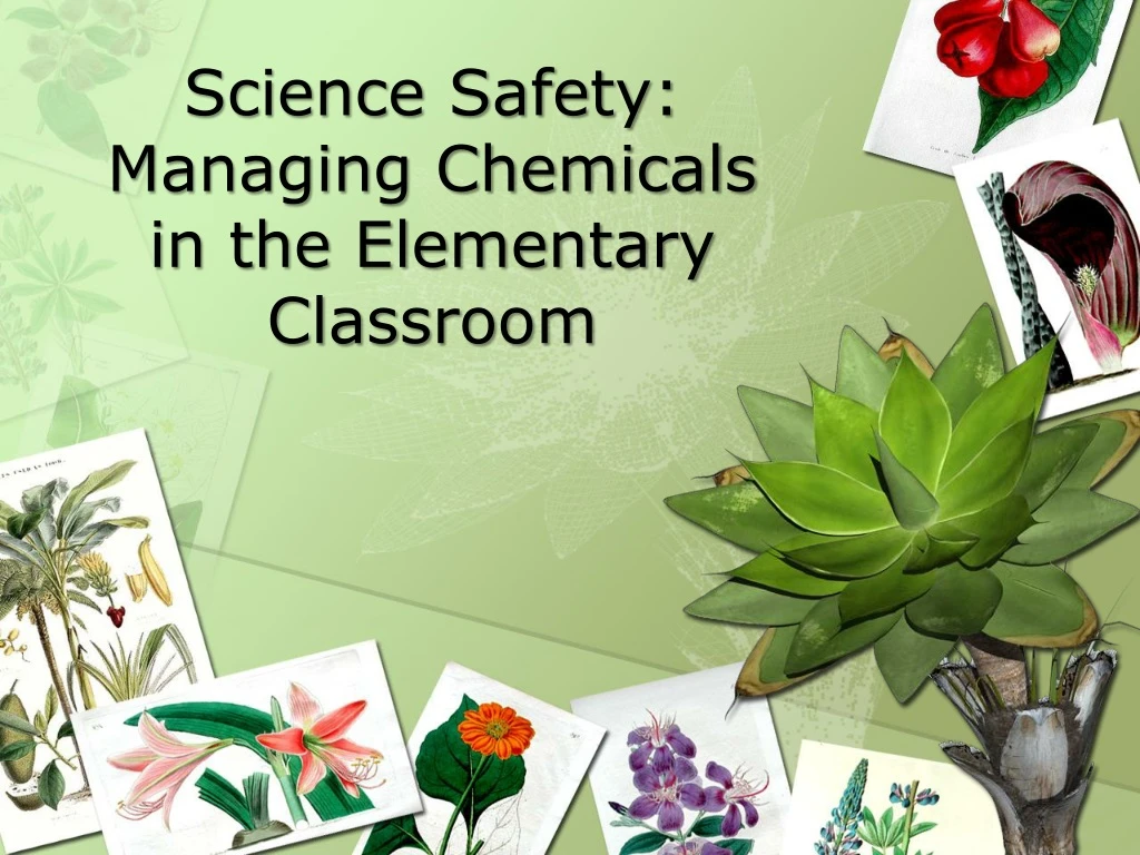 science safety managing chemicals in the elementary classroom