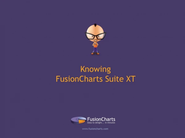 Knowing FusionCharts Suite XT
