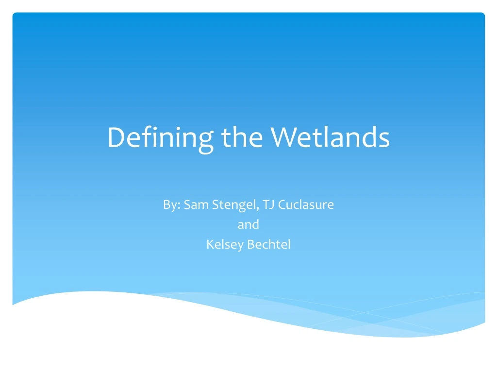 defining the wetlands