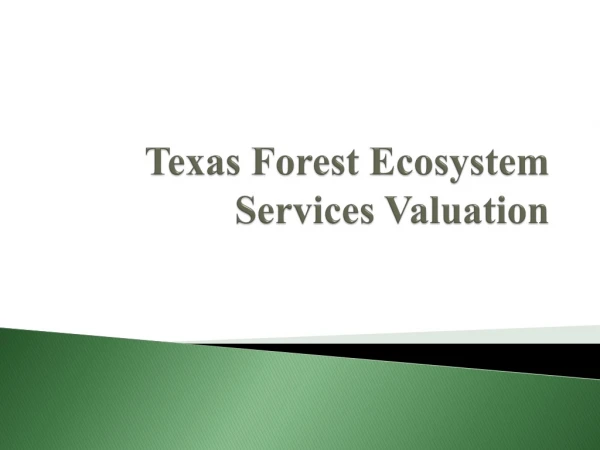 Texas Forest Ecosystem Services Valuation