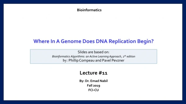 Where In A Genome Does DNA Replication Begin?