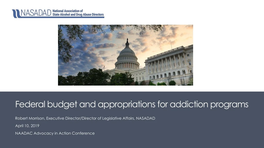 federal budget and appropriations for addiction programs