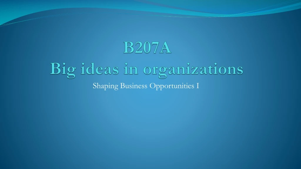 b207a big ideas in organizations