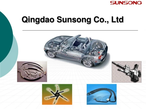Qingdao Sunsong Co., Ltd