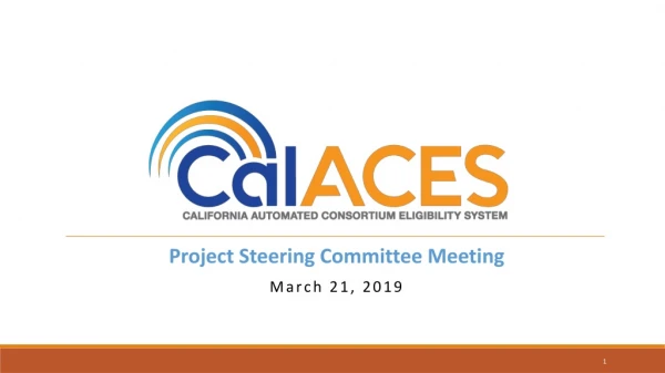 Project Steering Committee Meeting March 21, 2019