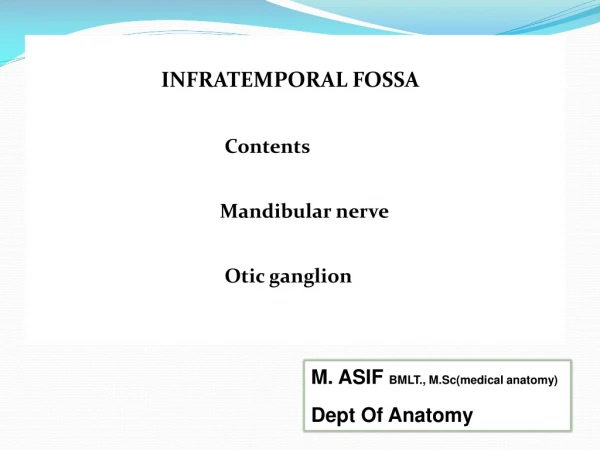 INFRATEMPORAL FOSSA Contents