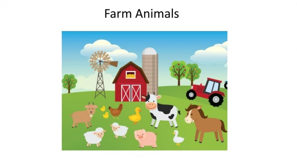 Farm Animals