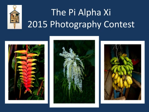 The Pi Alpha Xi 2015 Photography Contest