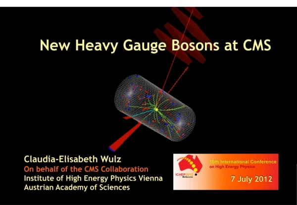 New Heavy Gauge Bosons at CMS
