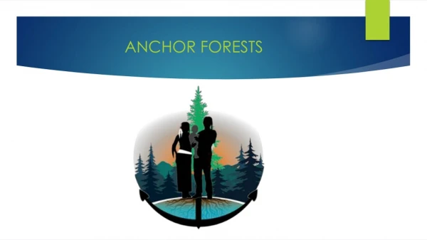 ANCHOR FORESTS