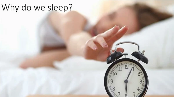 Why do we sleep ?