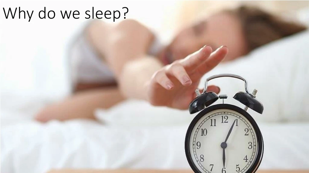 why do we sleep