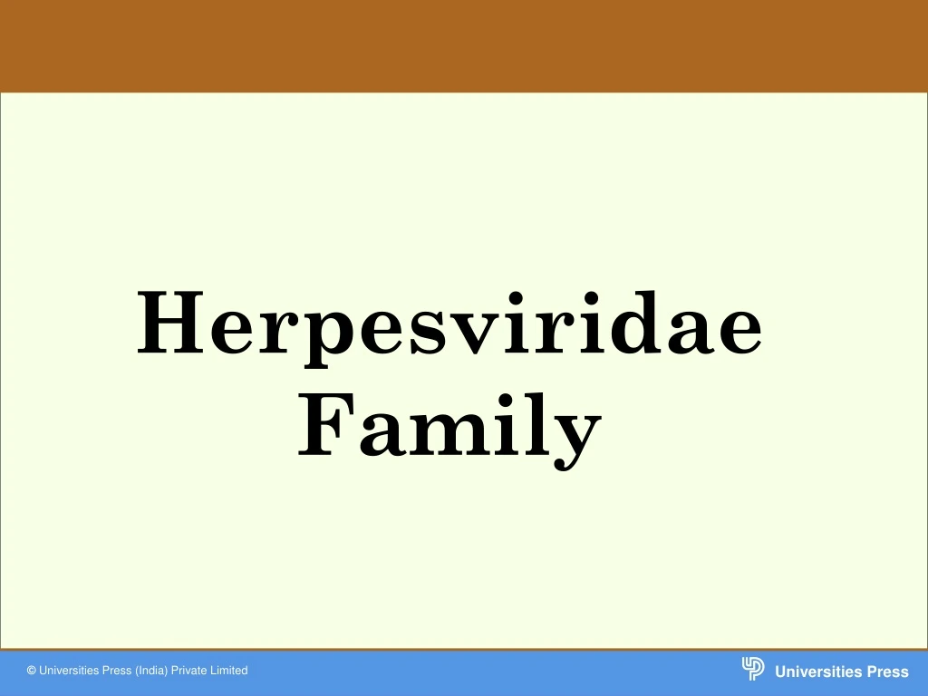 herpesviridae family