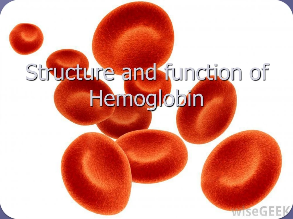 structure and function of hemoglobin