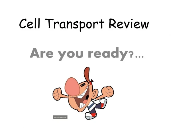 Cell Transport Review