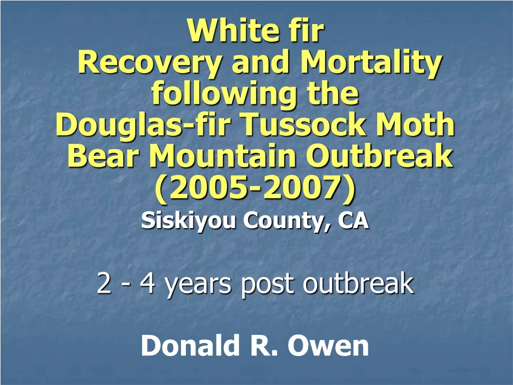 white fir recovery and mortality following