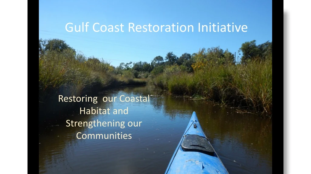 gulf coast restoration initiative