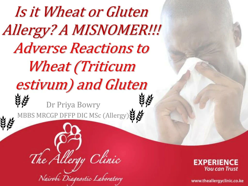 is it wheat or gluten allergy a misnomer adverse reactions to wheat triticum estivum and gluten