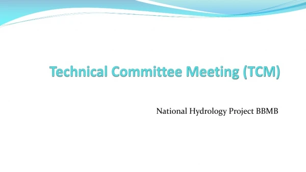 Technical Committee Meeting (TCM)