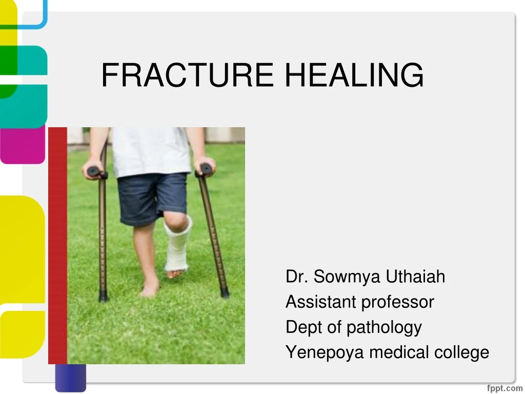 fracture healing
