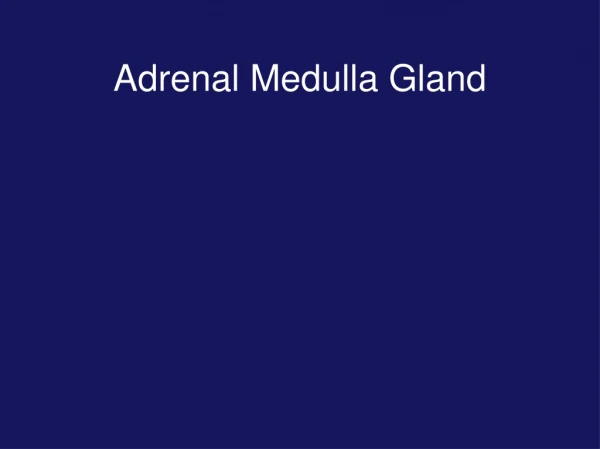 Adrenal Medulla Gland