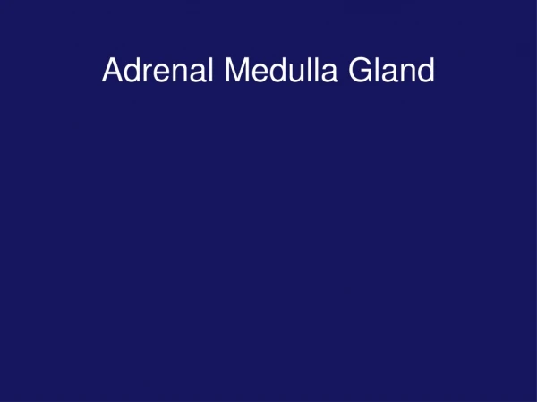 adrenal medulla gland