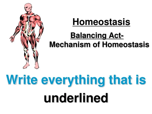 Balancing Act- Mechanism of Homeostasis