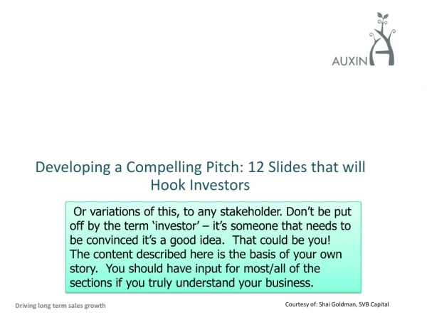 Developing a Compelling Pitch: 12 Slides that will Hook Investors
