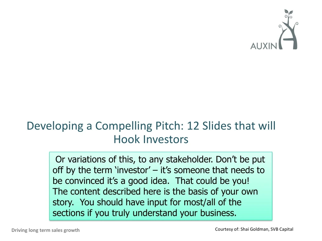 developing a compelling pitch 12 slides that will hook investors