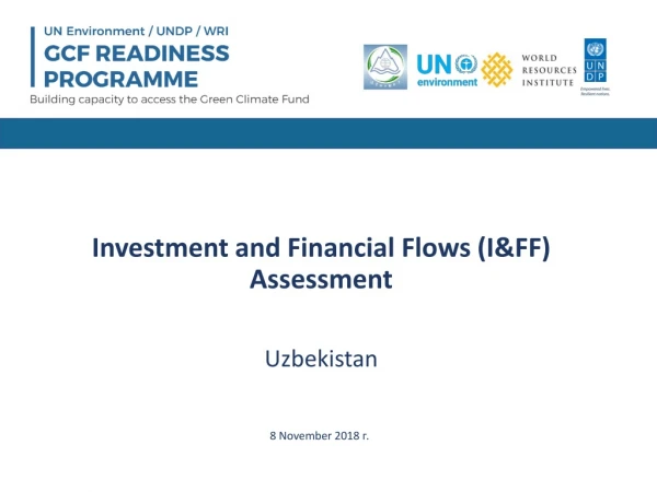 Investment and Financial Flows (I&amp;FF) Assessment
