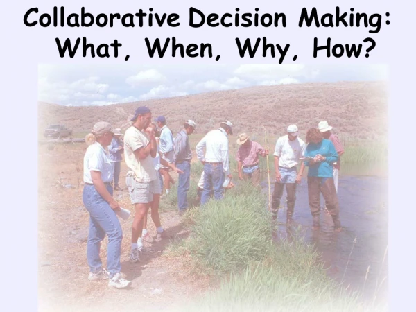 Collaborative Decision Making: What, When, Why, How?