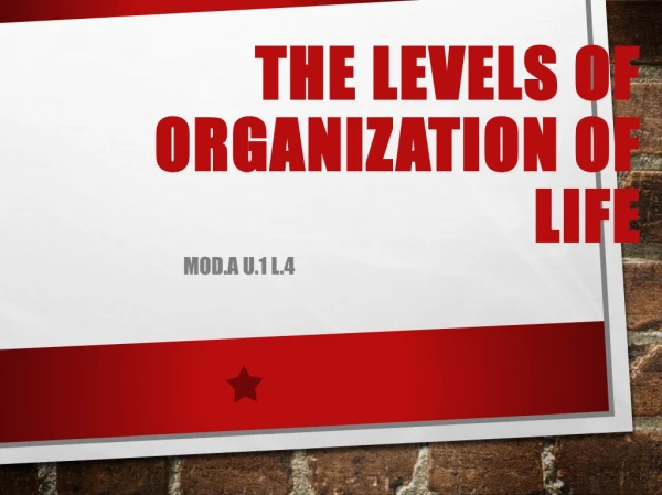 The Levels of Organization of Life