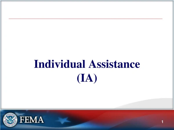 Individual Assistance (IA)