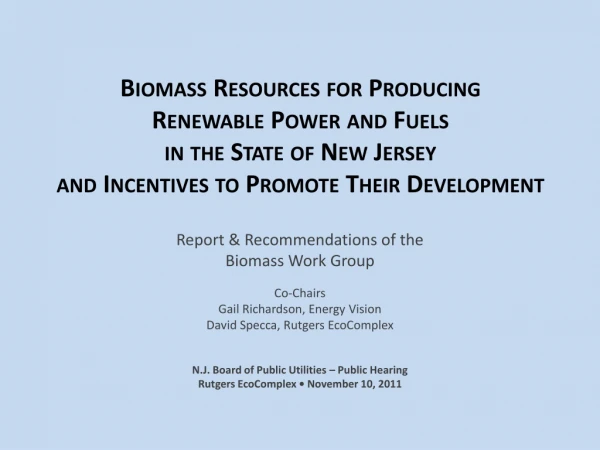 Report &amp; Recommendations of the Biomass Work Group Co-Chairs Gail Richardson, Energy Vision