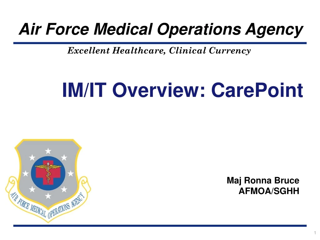 im it overview carepoint