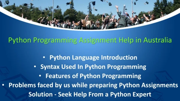 python programming assignment help in australia