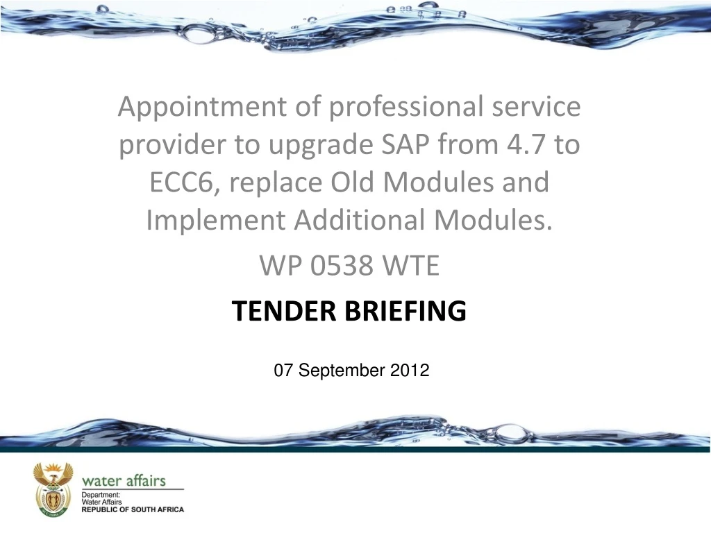 appointment of professional service provider