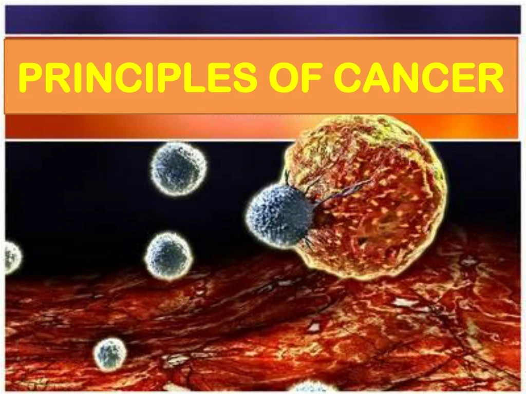 principles of cancer