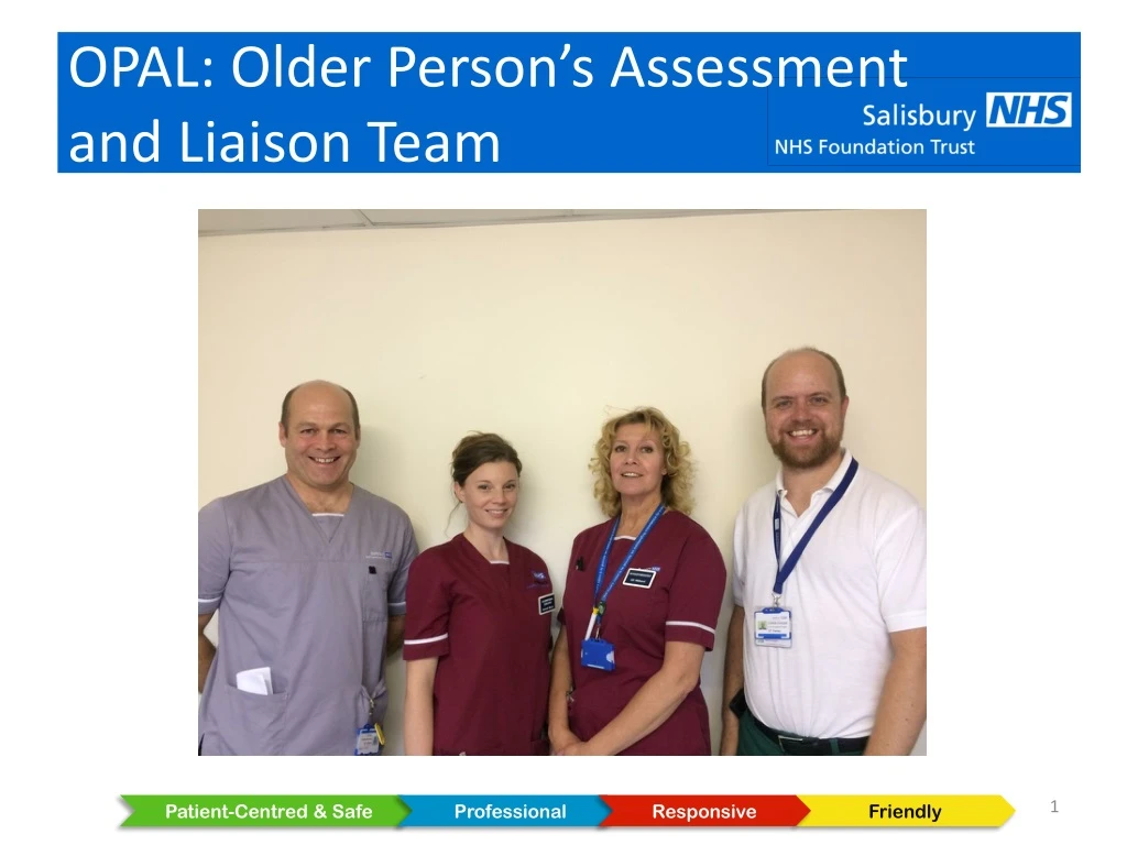 opal older person s assessment and liaison team