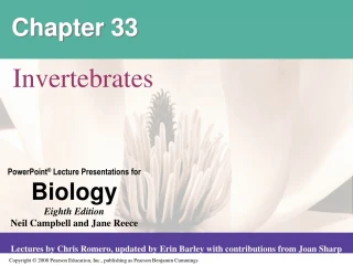 Invertebrates: Life Without a Backbone - slide 1