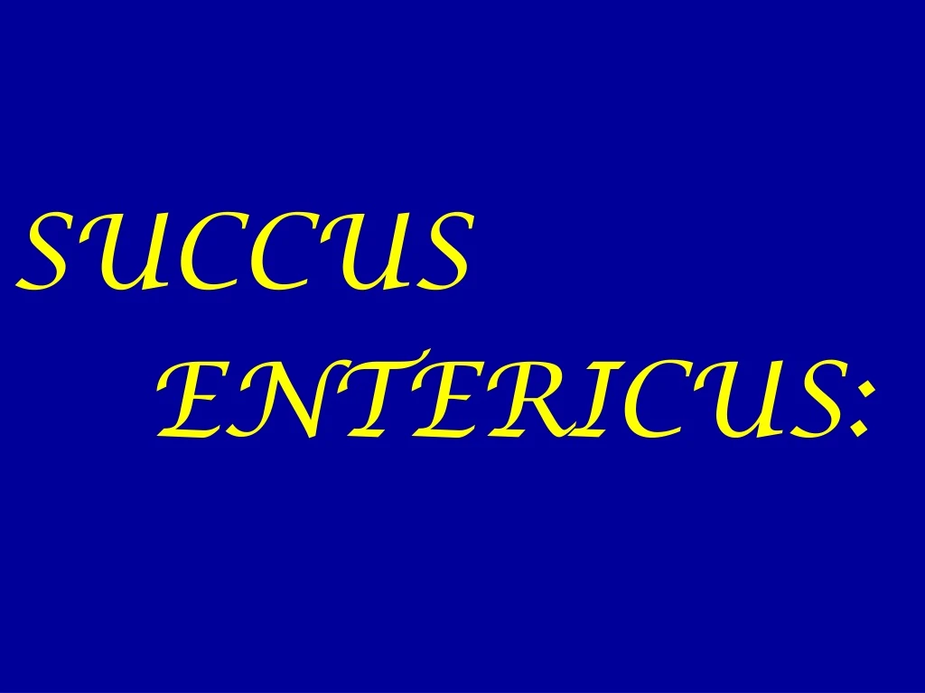 succus entericus