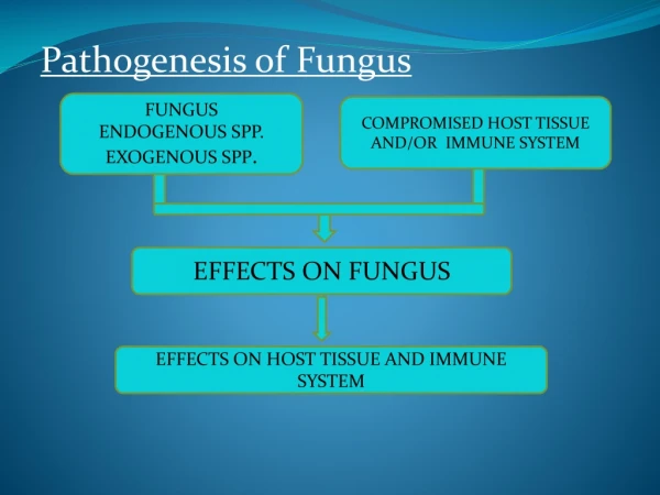 EFFECTS ON FUNGUS