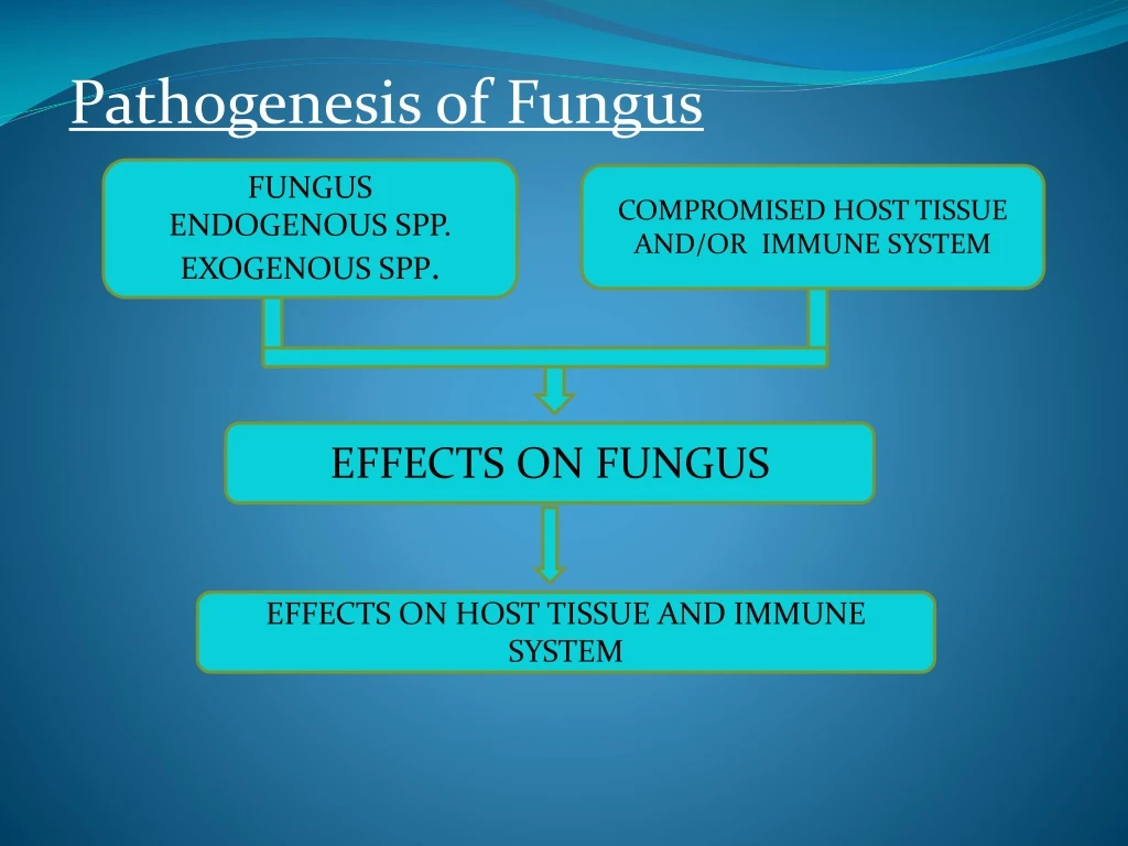 pathogenesis of fungus