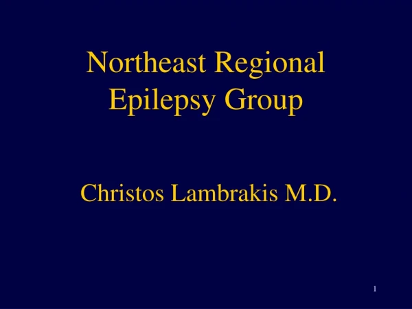 Northeast Regional Epilepsy Group Christos Lambrakis M.D.